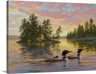 Tranquil Evening - Loons