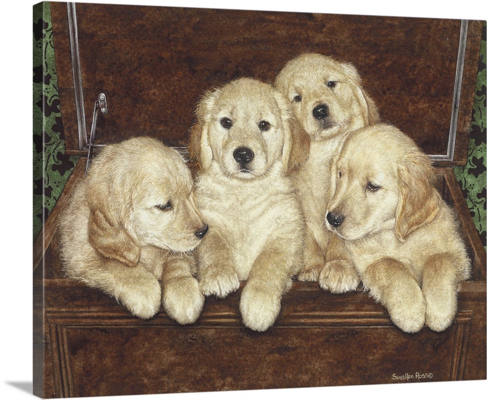 An image of a wooden chest with four golden retriever puppies in it.