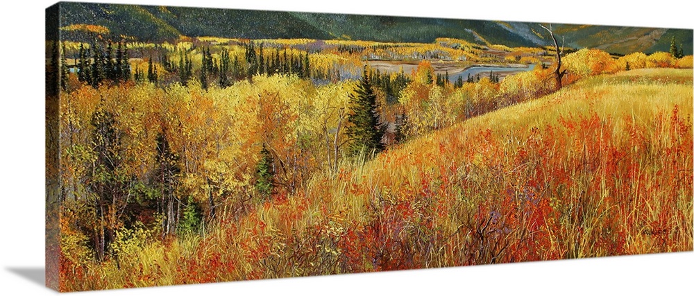 Valley Of Fall Colors