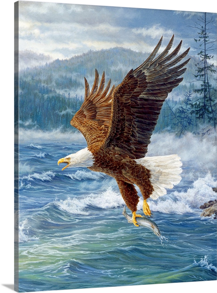 Winged Victory - Bald Eagle