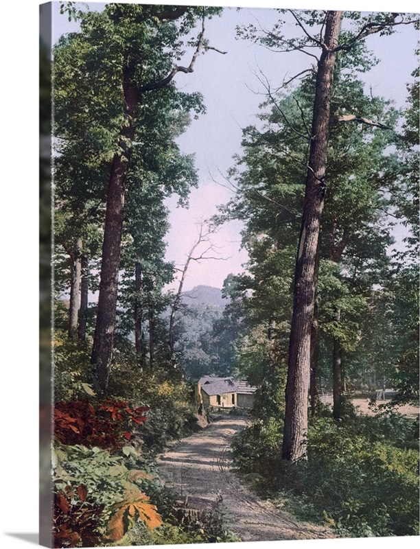 A Mountain Home Wall Art, Canvas Prints, Framed Prints, Wall Peels