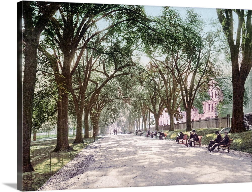 Antiqued photograph on canvas of a park in Boston lined with trees along a path with people sitting on benches.