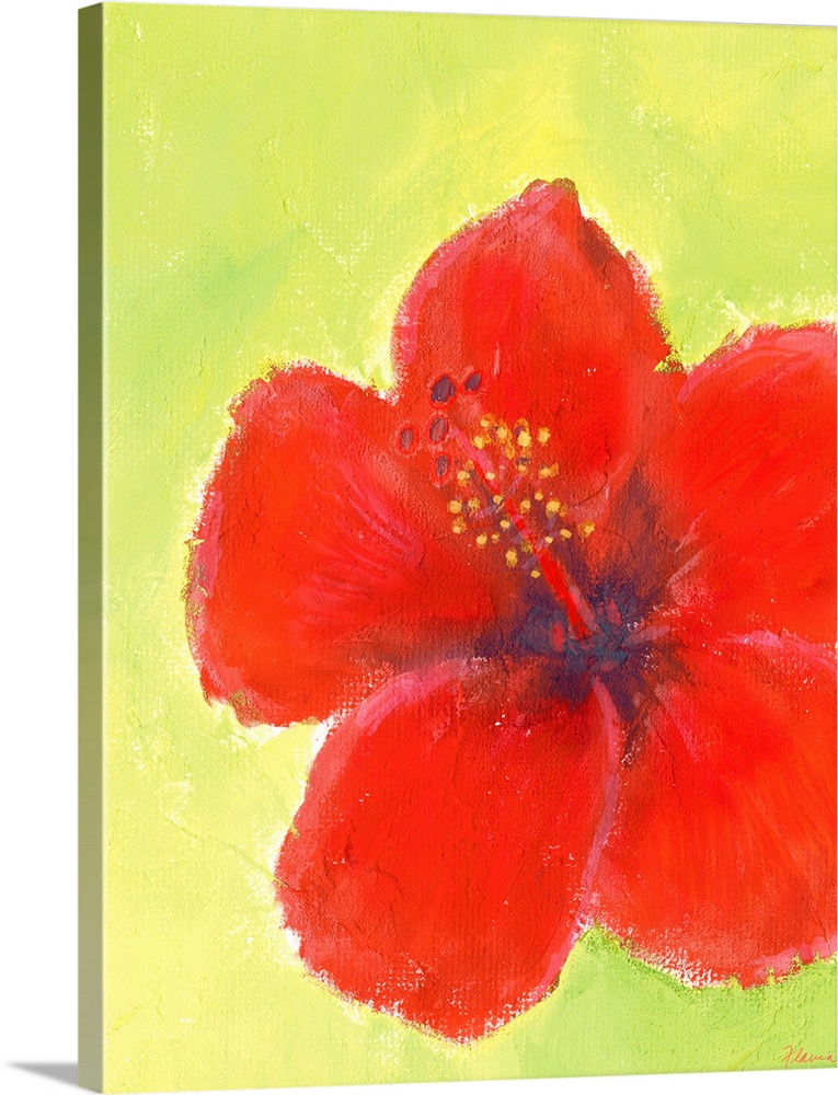 A large red flower is painted against a mustard colored background.
