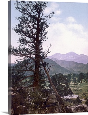 Longs Peak near Estes Park1898