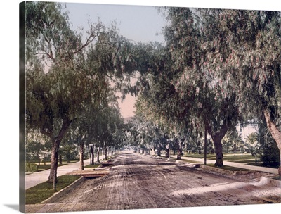 Marengo Avenue Pasadena California Vintage Photograph