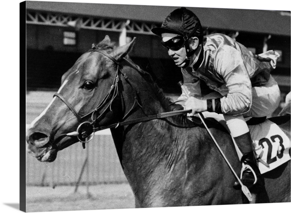 1973:  The jockey McKeown riding 'Ashe Ingen'