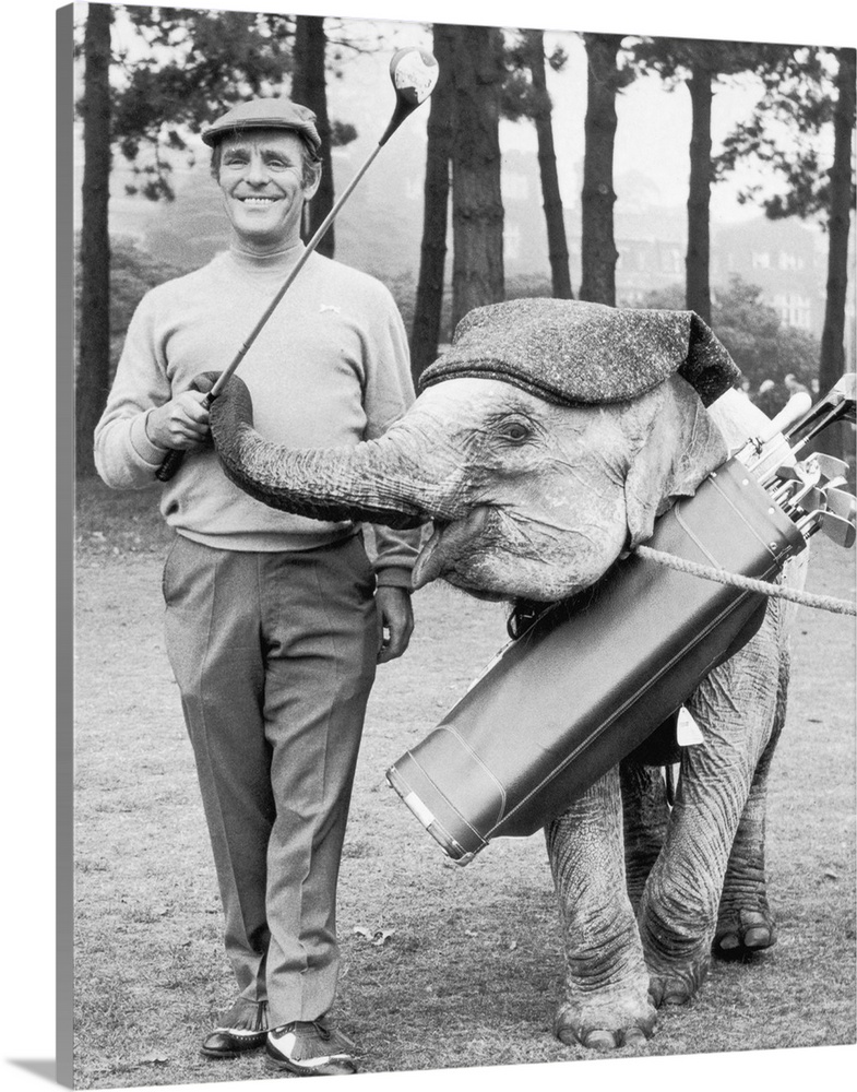 Comedian Dickie Henderson (1922 - 1985) plays a round of golf at Selsdon Park, Surrey, with Mini the Indian elephant, his ...