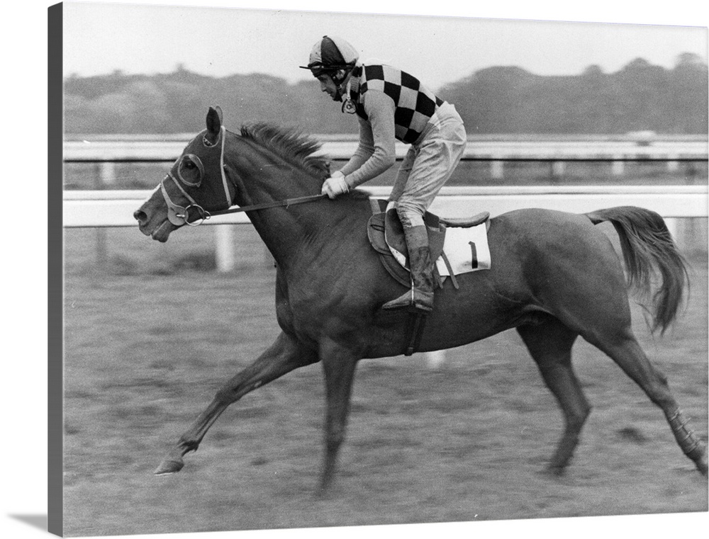 1972:  The racehorse 'Advocate', ridden by jockey S Mellor