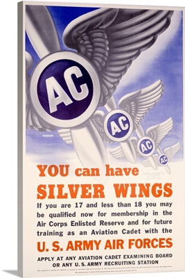 WWII AAF 'You Can Have Silver Wings'