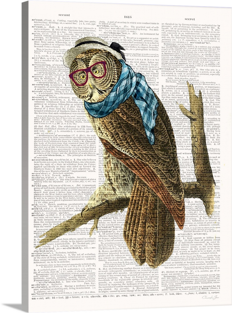 Vintage illustration of an owl with glasses on a dictionary page.