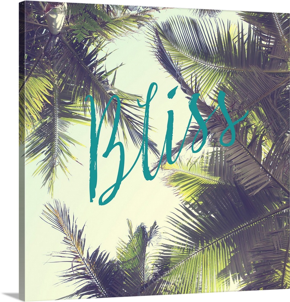 The word "Bliss" in teal script over a vintage-style photograph of palm tree leaves.