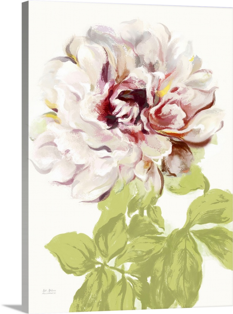 Contemporary home decor art of a pale pink peony against a white background.