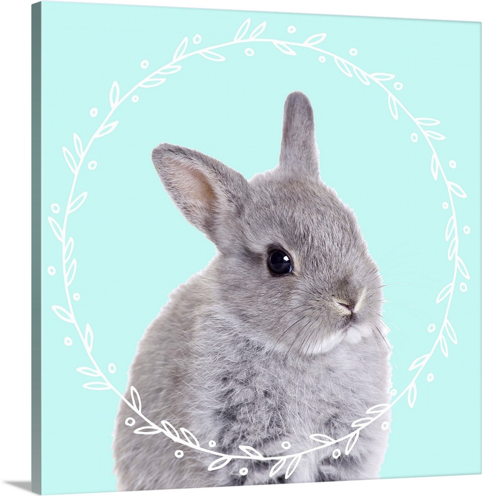 Black and white photograph of a baby bunny on the middle of a light blue background with an illustrated white, leafy wreath.