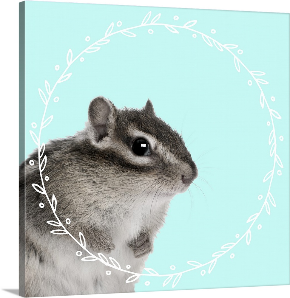 Black and white photograph of a baby chipmunk on the middle of a light blue background with an illustrated white, leafy wr...