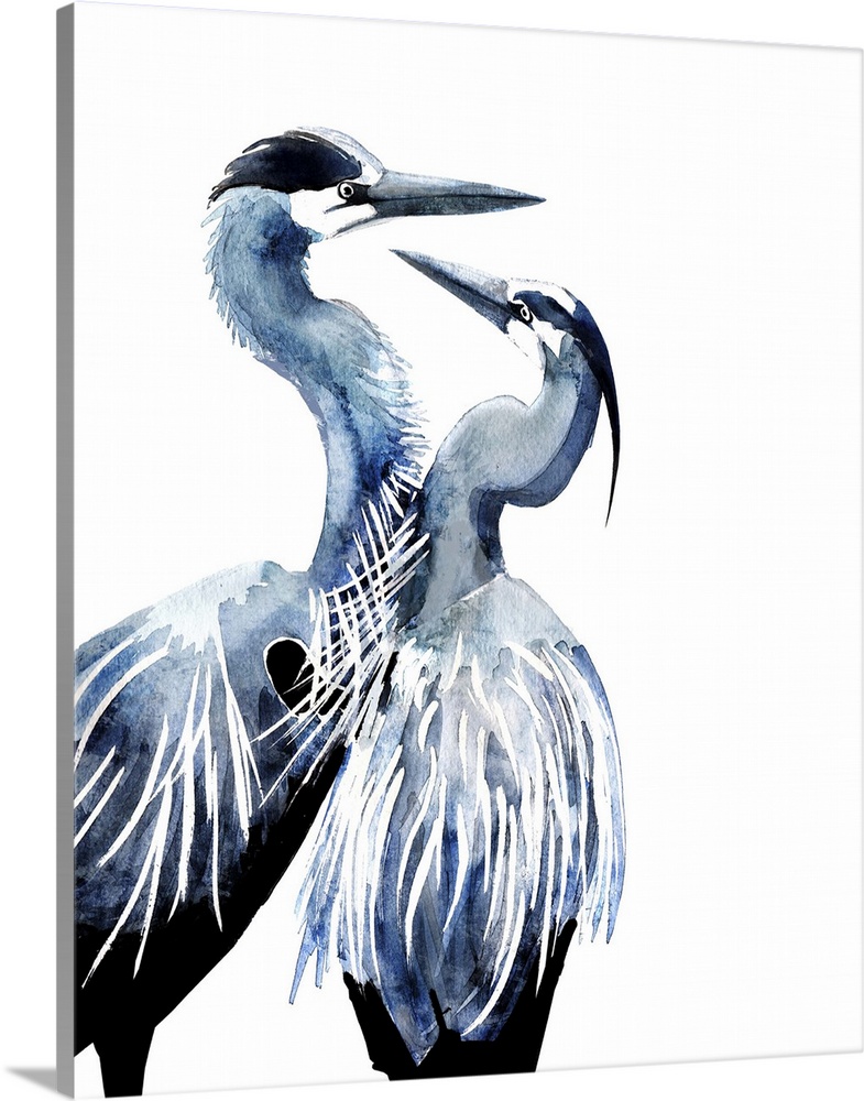 Watercolor illustration of two herons on white.