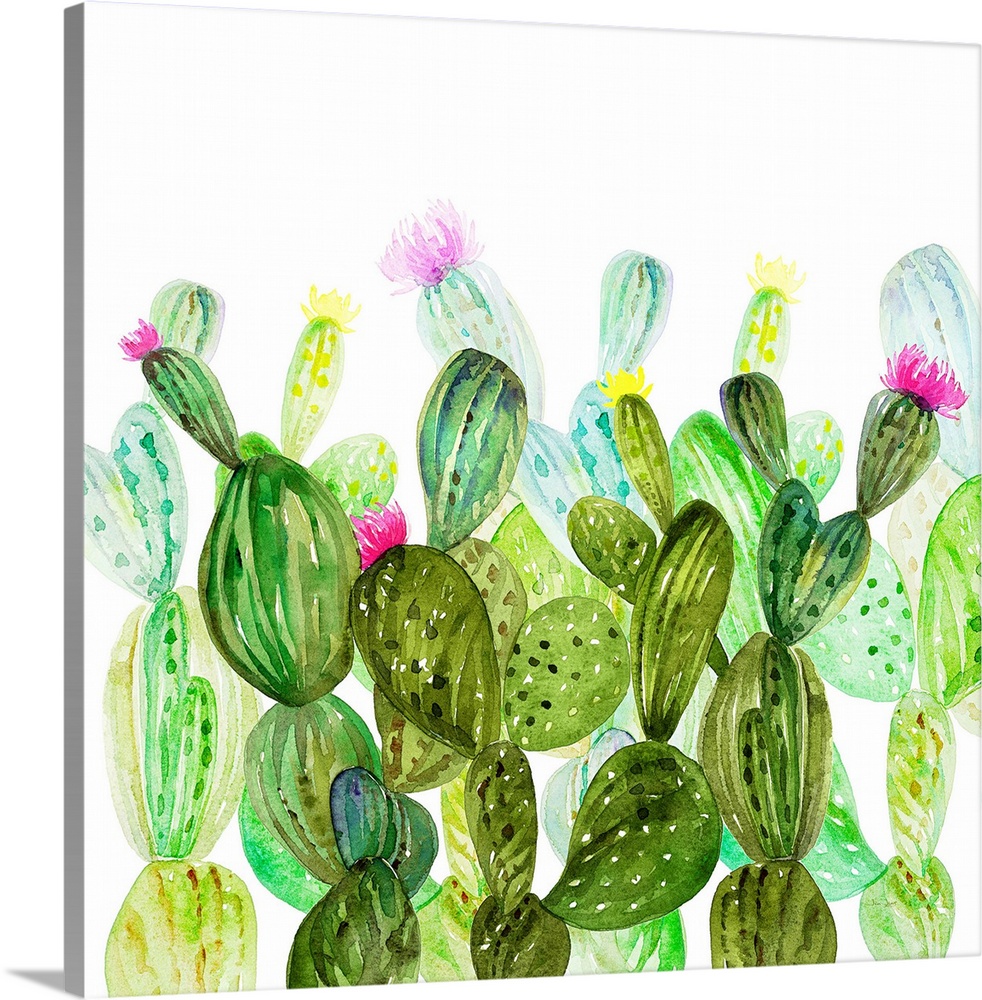 Vivid illustration of a variety of green cactus plants.