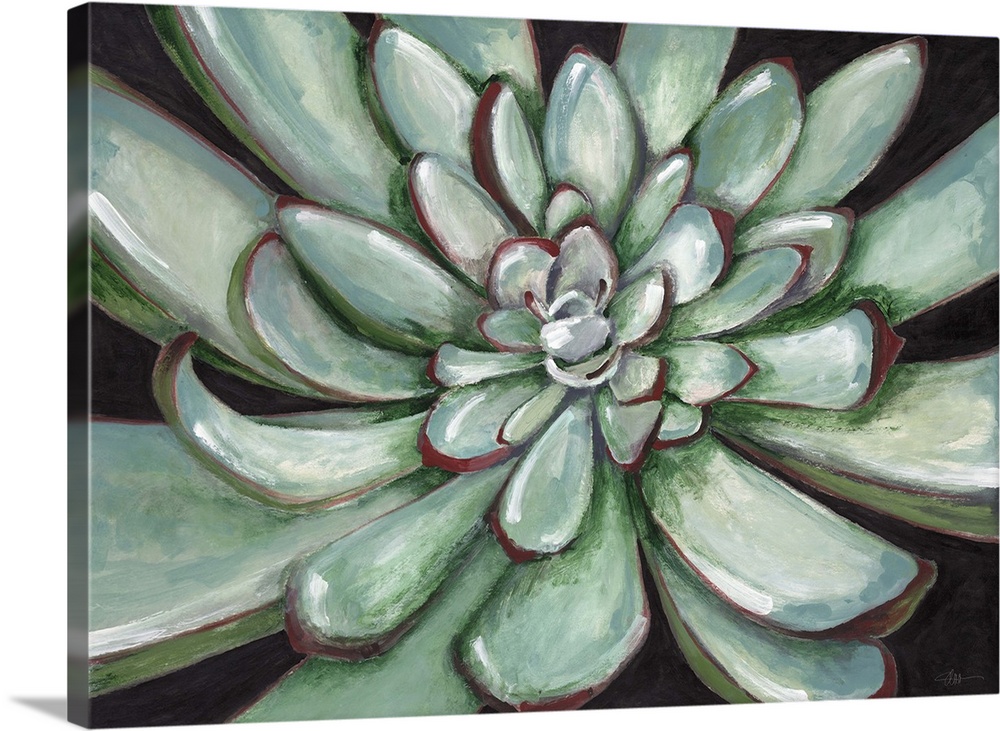 Contemporary home decor artwork of a close-up of a green succulent.