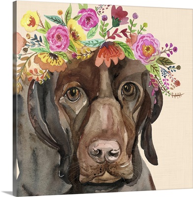 Dog with a wreath of colorful blossoms I