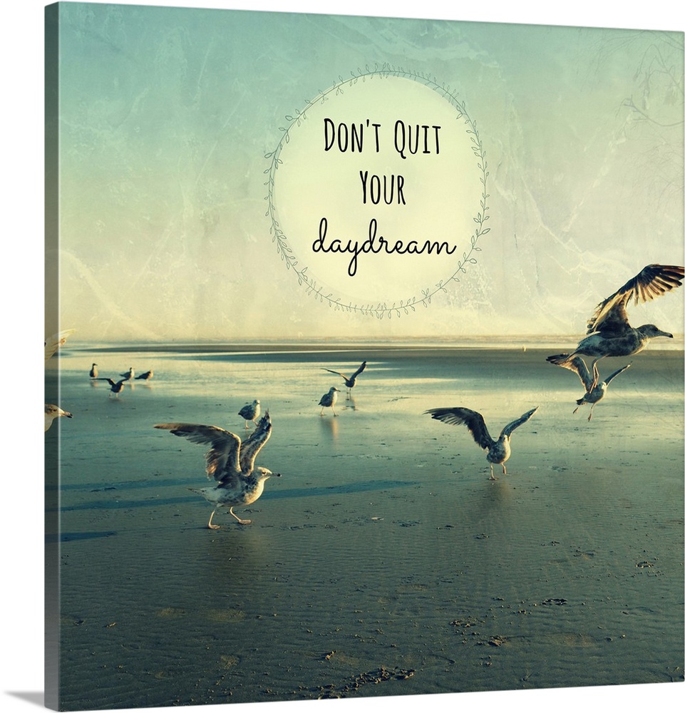 "Don't Quit Your Daydream" written inside a leafy circle on top of a square photograph with seagulls walking and flying on...