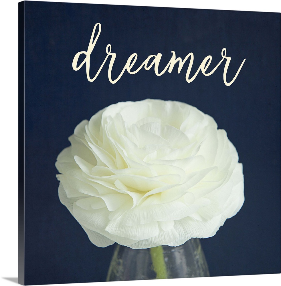 A white flower in a glass vase with the word "dreamer" above it.