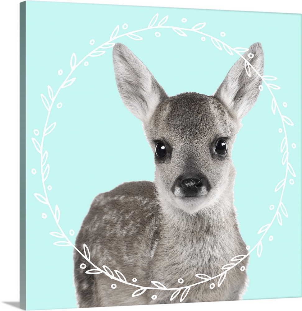 Black and white photograph of a fawn on the middle of a light blue background with an illustrated white, leafy wreath.