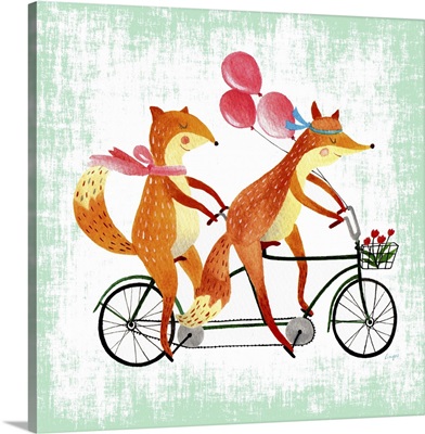Foxes Like Bikes