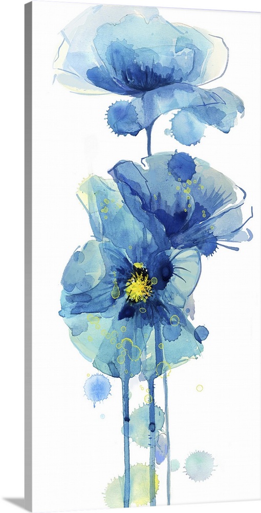 Watercolor painting of poppy flowers in deep blue.