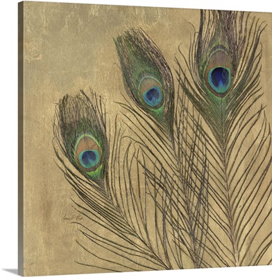 Metallic Peacock Feathers