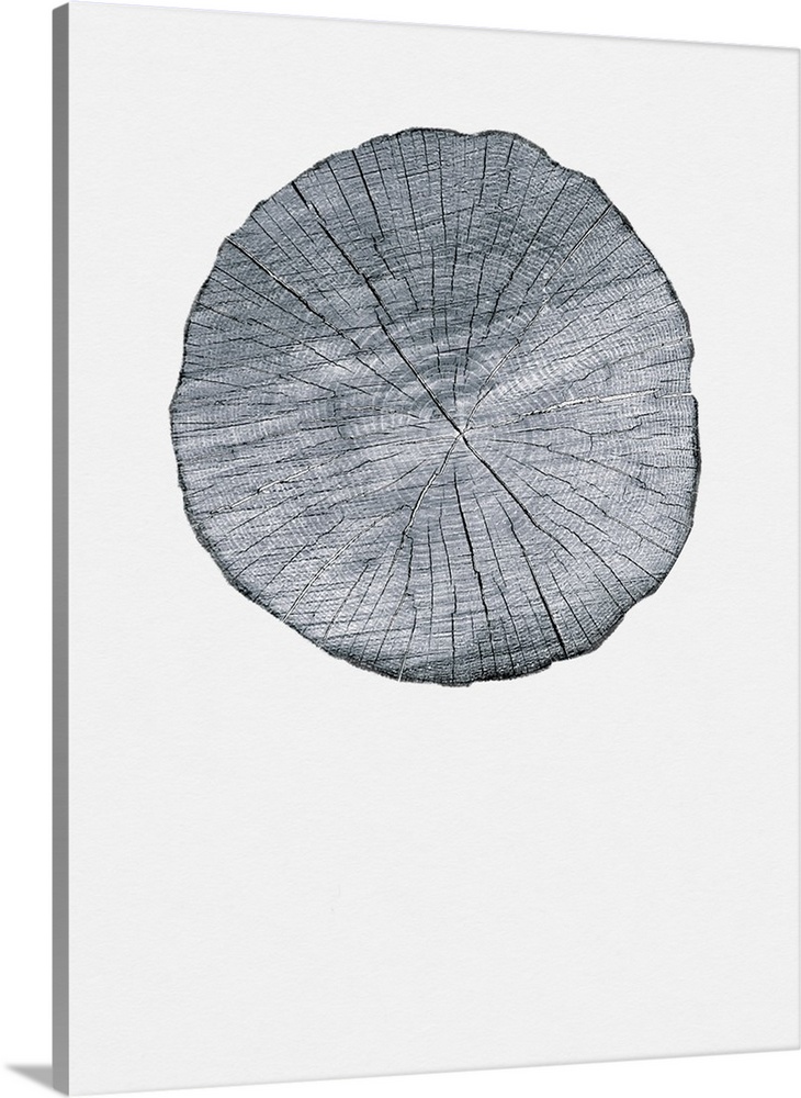 Old Growth Ring Print