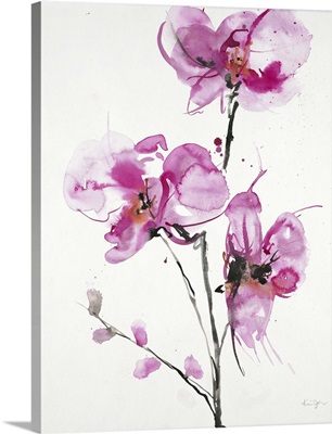Orchids I