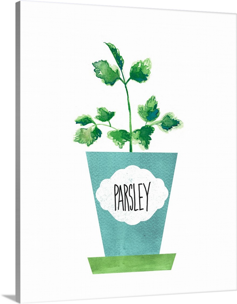 Painting of a potted parsley plant on a solid white background with a label on the blue pot.