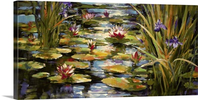 Pond Iris