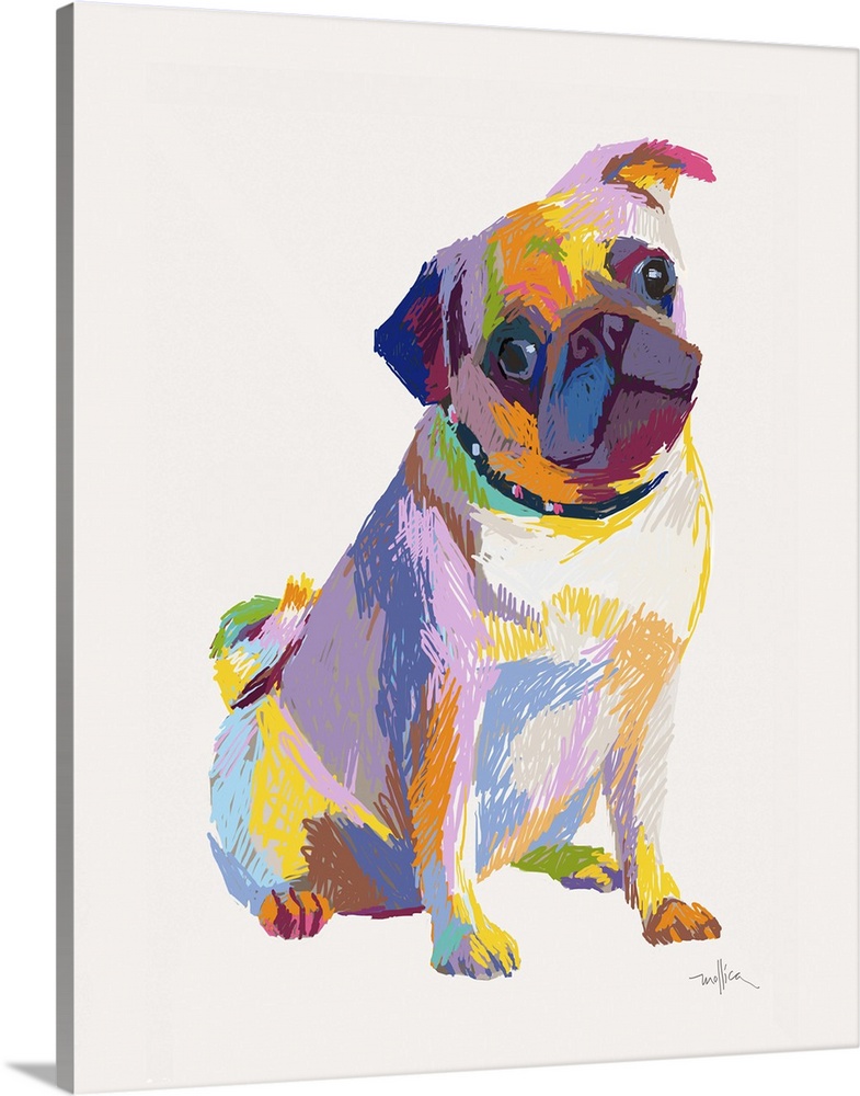 Colorful sketch of a pug dog in bright colors tilting head the side.