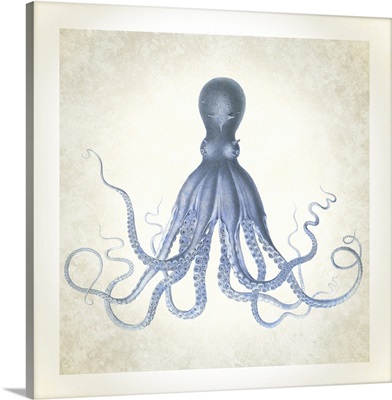 Sea Life, Octopus