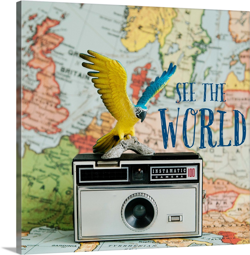 A toy bird sitting on a vintage camera with a map backdrop.