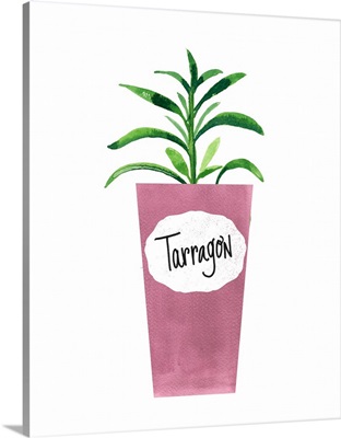 Tarragon Pot