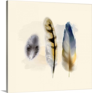 Three Feather Study II Photo Canvas Print | Great Big Canvas