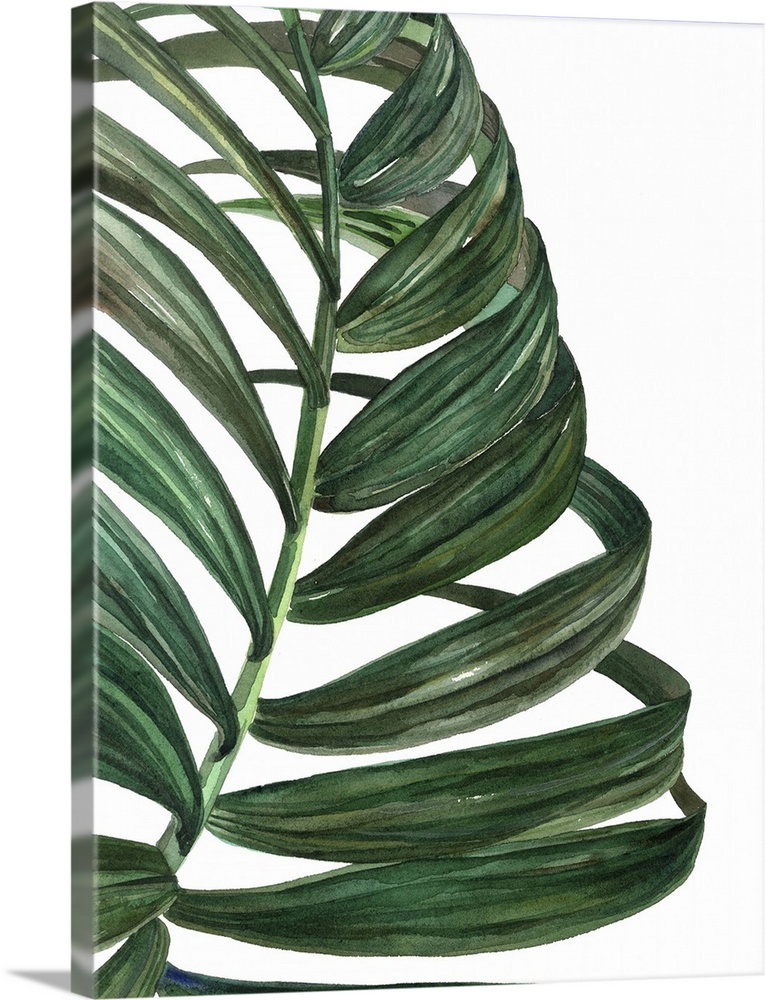 Mod art of a deep green palm leaf on white.