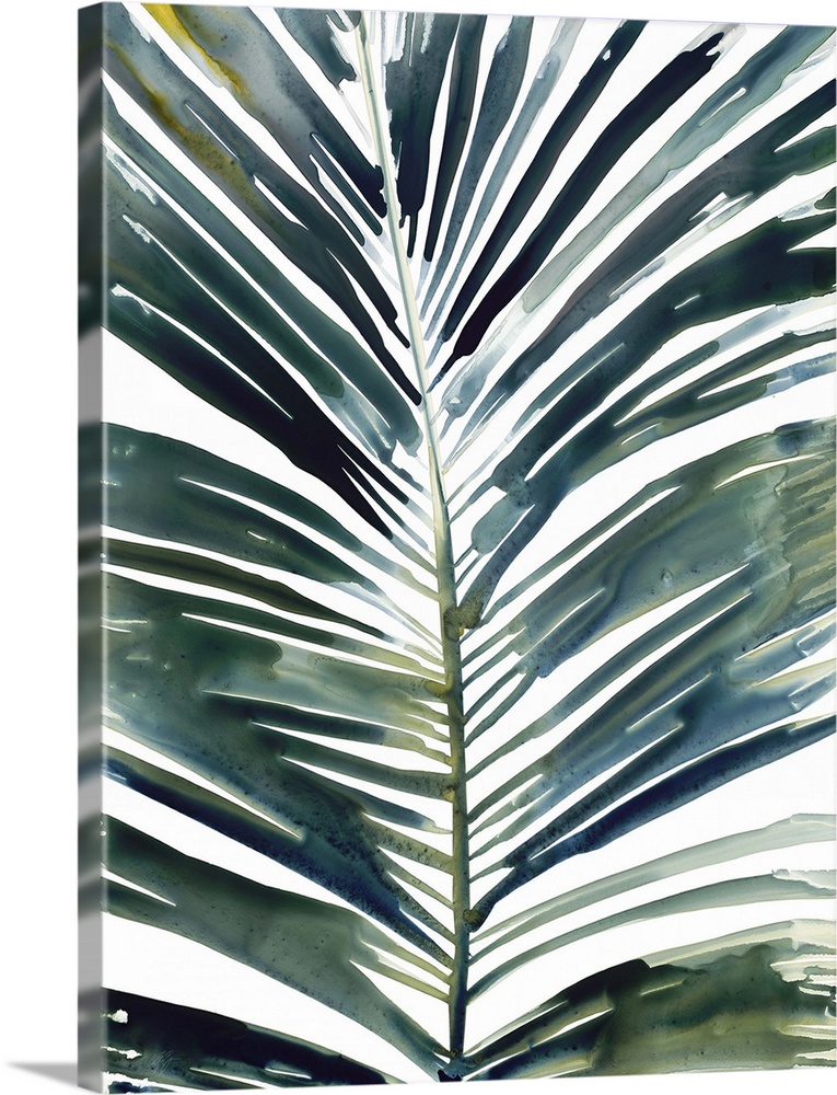 Watercolor painting of a palm frond on white.