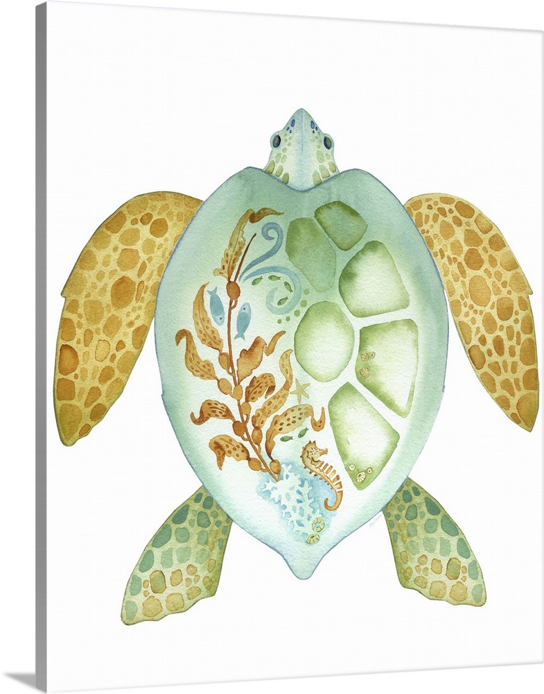 Watercolor artwork of a sea turtle with a seaweed and fish design on its shell.
