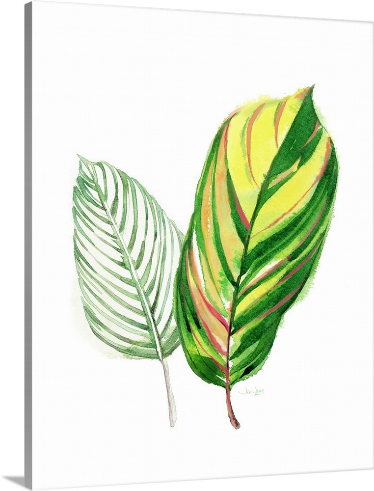 Painting of two tropical palm leaves in green, yellow, orange, and pink hues on a solid white background.
