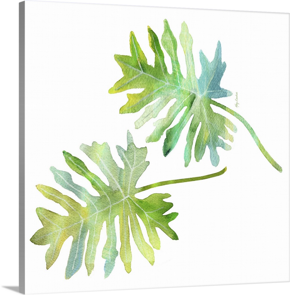 Contemporary colorful tropical pal frond against a white background.