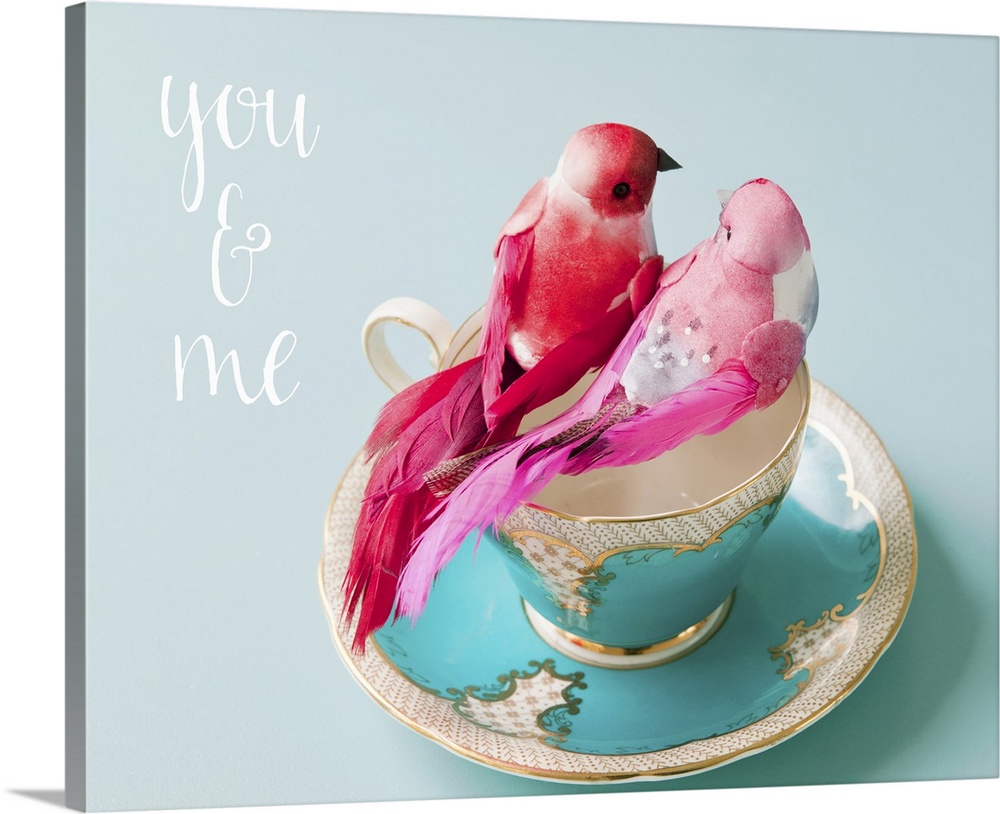You and Me Love Birds