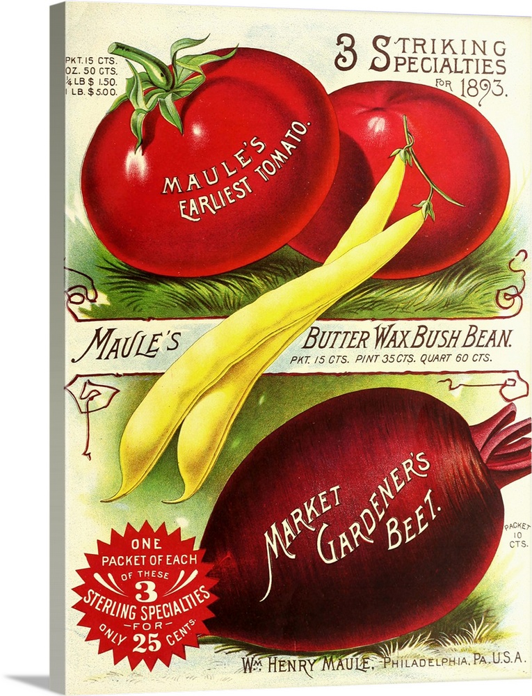 Vintage poster advertisement for 1893 Maule Tomatoes.