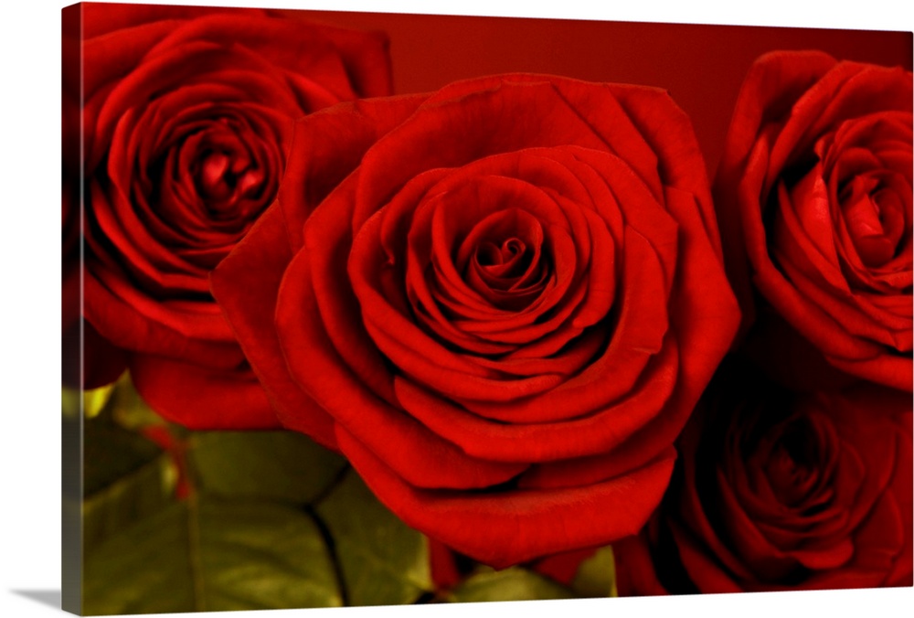 3 Red Roses