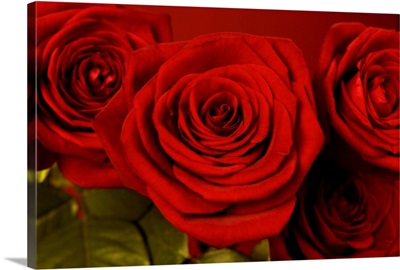 3 Red Roses