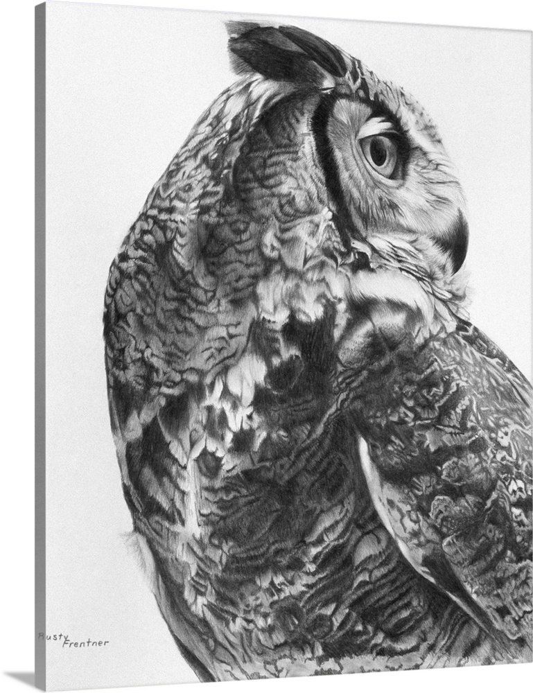 A noble-looking owl turns its head 180 degrees backwards to look behind it.