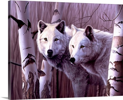 A Pair Of White Wolves
