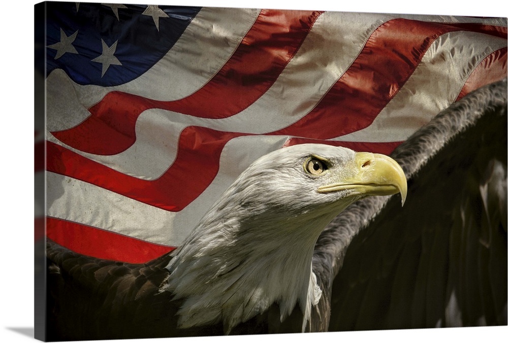 Patriotic image of a Bald Eagle in front of an American Flag.