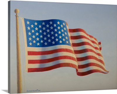 American Flag IV